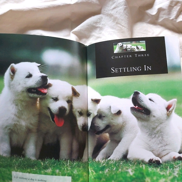 ✨Dog training/behaviour guide - Picture 5 of 6